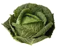 choux frisés vendu à l'unité 700g900g