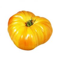 tomates ananas bio direct producteur Vitrolles