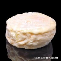 Marius Fermier Bio Direct Producteur à Vitrolles