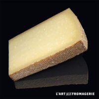 Comté 18 24 mois AOP Vitrolles