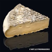 Saint Nectaire AOP Direct Producteur à Vitrolles