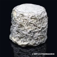 Chabis fermier Fromage Chevre Circuit court