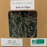 thym Bio en brins Direct Producteur à Vitrolles