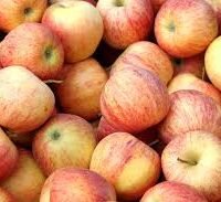 pomme gala conditionnée en sac de 1kg