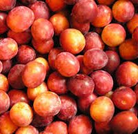 Prune octobersun conditionnée en sac de 800g