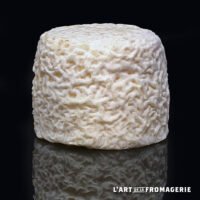 1120 - Crottin de chèvre fermier