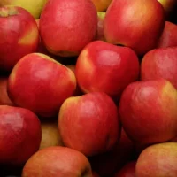 pomme pink kiss conditionnée en sac de 1kg