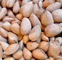 Amande coque conditionnée en sac de 500g