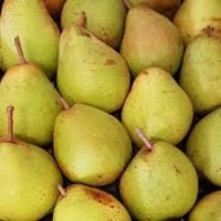 poire comice conditionnée en sac de 1kg