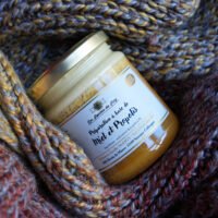 miel et propolis en circuit-court à Vitrolles de notre apiculteur de Simianes