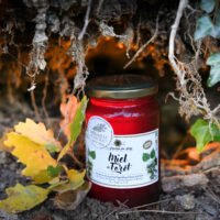 Miel de foret, médaille d'argent en direct producteur à Vitrolles