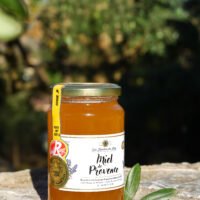 Miel de Provence, Label rouge, IGP, en direct producteur à Vitrolles