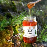 Miel de Sapin, double médaille d'or, apiculteur en vente directe à Vitrolles