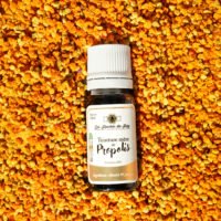 teinture mère de propolis en flacon de 10ml, en vente directe à Vitrolles