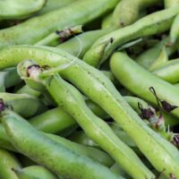 fèves conditionnée en sac de 500g