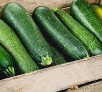 caisse de courgette second choix 4kg