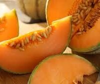 melon vendu à l'unité 1 kg environ