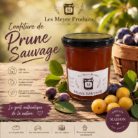 Confiture de prune sauvage 345g