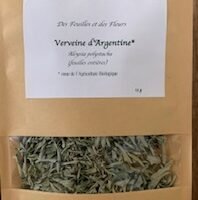 Verveine d'Argentine - 15G - feuilles